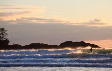 Surfer in Tofino British Columbia Canada riding rolling waves with beautiful backlighting