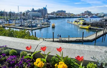 Ocean harbor with docks and boats against backdrop of blue sky in downtown Victoria. 