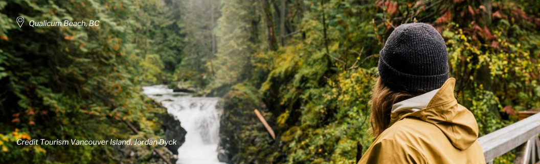 International Physicians Webpage Image (1).png