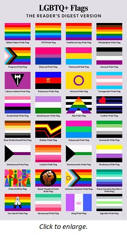 RD LGBTQ Flags Infographic Thumb 