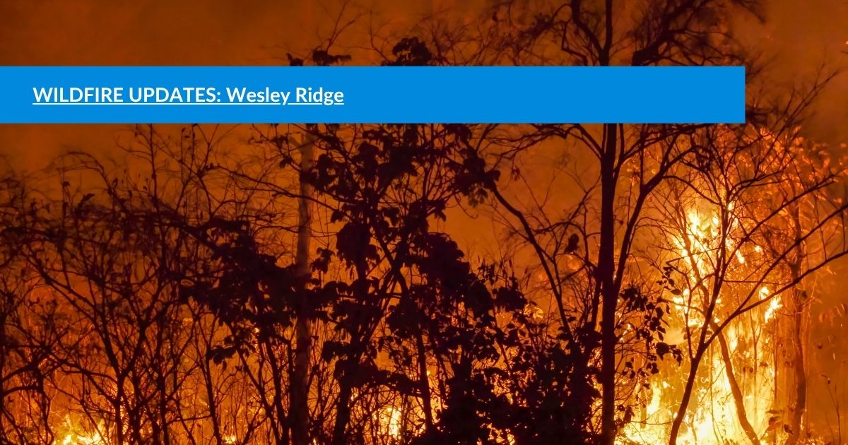 Wildfires Slide