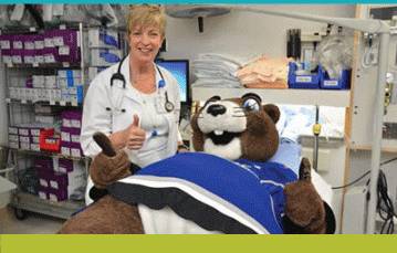 Getting Started at Island Health