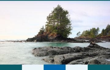 International Physicians