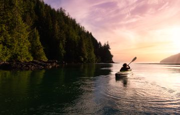 Back of kayaker cruising next to forested shoreline with sunset sky in background Vancouver Island BC Canada