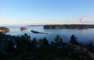 Dark tree line in foreground against blue ocean water inlet with clear sky in backdrop Nanaimo Vancouver Island BC Canada