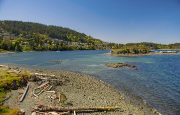 Rocky shoreline sprinkled with logs against blue waters of urban lagood