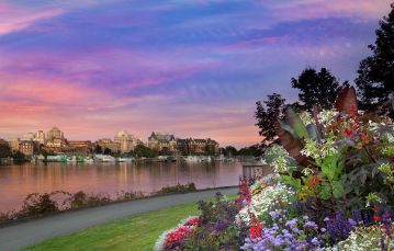 Illuminated flower garden next to an inlet with buildings lit up in background against a sunset skyline in downtown Victoria