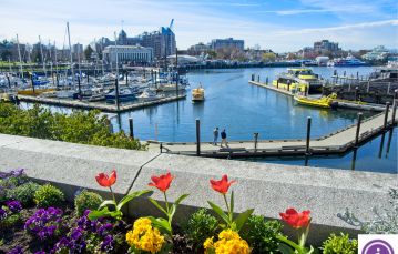 Victoria Inner Harbour. Flowers along the ocean looking out. 