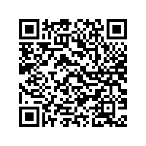 Well Planned Team Assessment Survey - QR Code.png